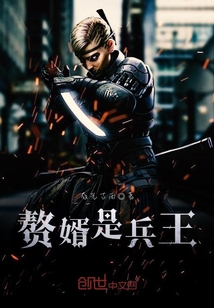 贅婿是兵王