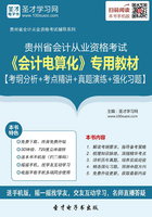 贵州省会计从业资格考试《会计电算化》专用教材【考纲分析＋考点精讲＋真题演练＋强化习题】