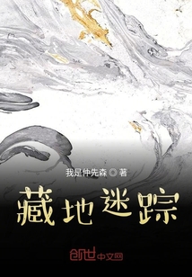 藏地迷蹤