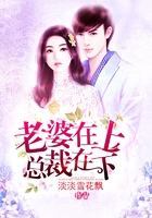 老婆在上总裁在下
