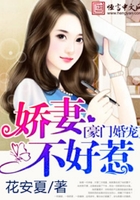 豪门婚宠:娇妻不好惹