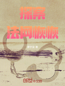 探案：法網恢恢