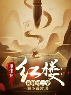 重生在紅樓：賈府玟三爺在線閱讀