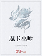 魔卡巫师在线阅读