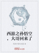 西游之孙悟空,大哥回来了在线阅读