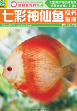 七彩神仙鱼饲养指南