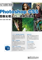 Photoshop CS5图像处理入门、进阶与提高在线阅读