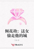 傾花劫：這女偷走他的城在線閱讀
