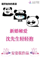 新婚秘爱:沈先生轻轻抱在线阅读