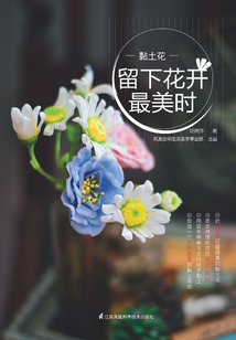 黏土花:留下花开最美时
