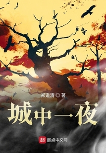 城中一夜