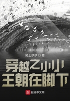穿越之小小王朝在腳下在線閱讀