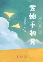 爱始于初见止于终老在线阅读