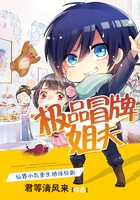 極品冒牌姐夫在線閱讀