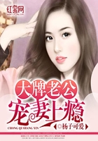 大牌老公宠妻上瘾在线阅读