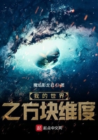 我的世界之方块维度在线阅读