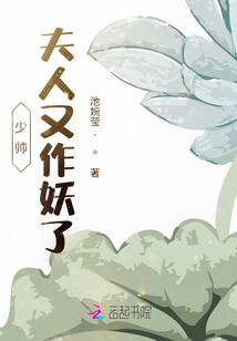 少帥！夫人又作妖了！