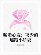 暖婚心寵：夜少的逃跑小嬌妻在線閱讀