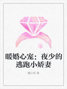 暖婚心寵：夜少的逃跑小嬌妻