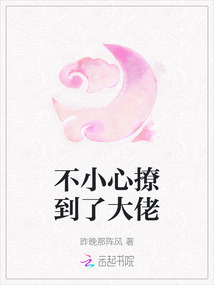 不小心撩到了大佬