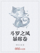 斗罗之风暴席卷在线阅读
