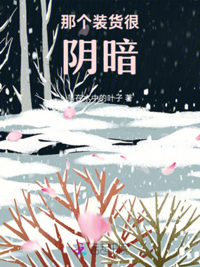 那个装货很阴暗在线阅读