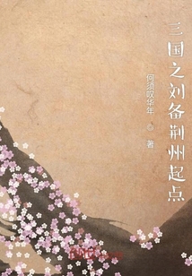 三國(guó)之劉備荊州起點(diǎn)
