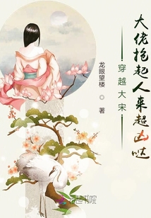 穿越大宋，大佬搶起人來超兇噠