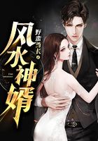 风水神婿
