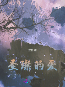 圣璨的愛