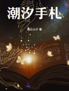 潮汐手札在线阅读