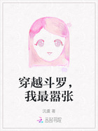 穿越斗罗,我最嚣张在线阅读
