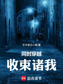 同时穿越,收束诸我 封面