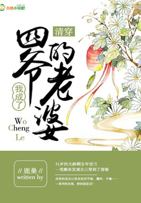 清穿后我成了四爷的老婆在线阅读