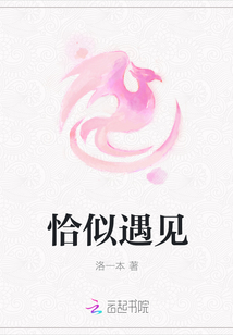 恰似遇見