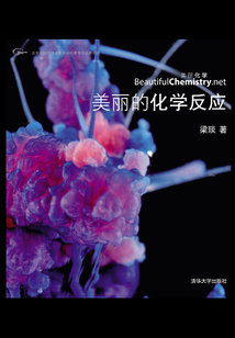 美麗的化學反應（美麗化學）