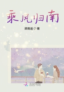 乘風歸南