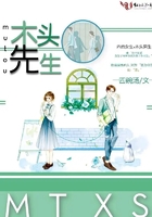 木头先生