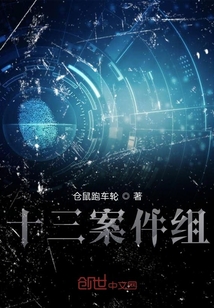 十三案件組