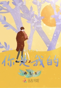 你是我的辰先生