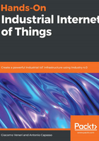 Hands-On Industrial Internet of Things