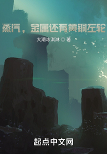 蒸汽，金屬還有黃銅左輪