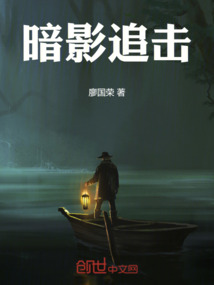 暗影追擊