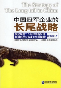 中國冠軍企業的長尾戰略