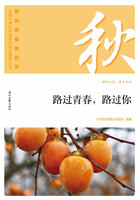 “我的青春我的梦”全国中学生校园美文精品集萃丛书:路过青春,路过你在线阅读