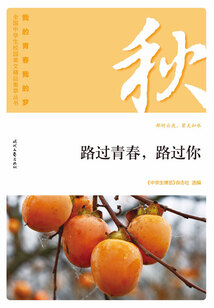 “我的青春我的夢”全國中學生校園美文精品集萃叢書:路過青春,路過你