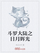 斗罗大陆之日月辉光在线阅读
