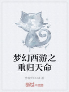 梦幻西游之再上征途在线阅读