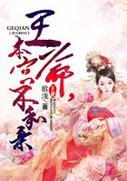 王爺，本宮不和親在線閱讀