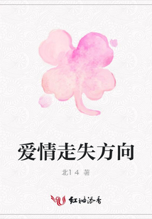 愛情走失方向
